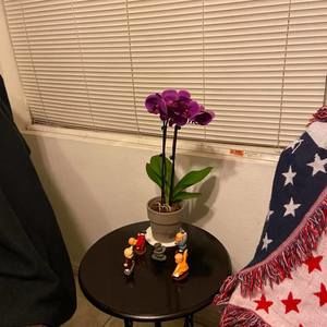 Meet your Posher, Chanha